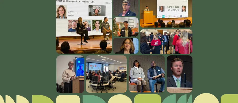 collage from GFC25